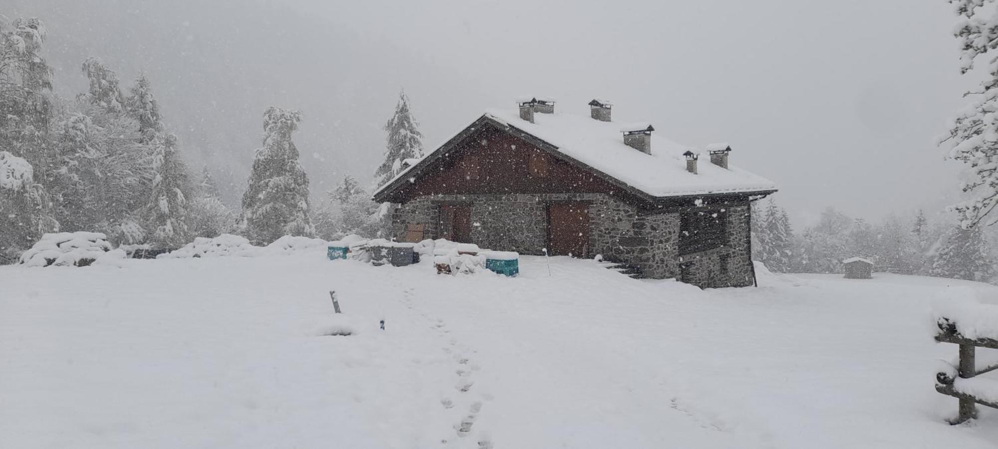 Chalet Al Maso Val Calamento Telve المظهر الخارجي الصورة